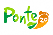 Ponte20